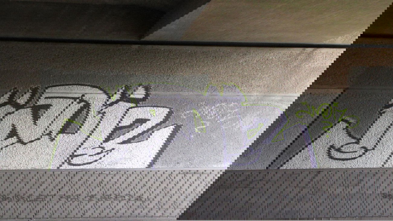 Graffiti Bombing in Oldenburg - Photo by Kaeseraspel - INDIZ