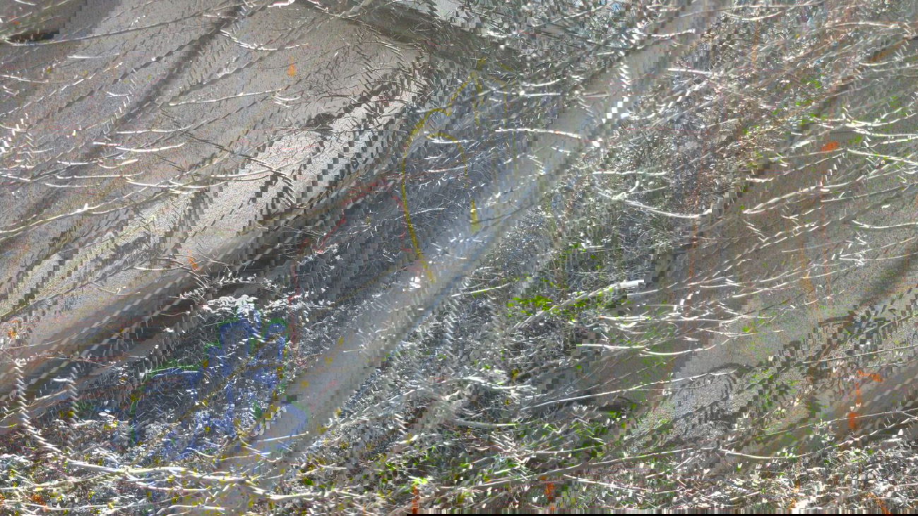 Graffiti Bombing in Oldenburg - Photo by Kaeseraspel - PSK, LAZ, OV