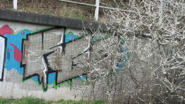 Graffiti Bombing in Oldenburg - Photo by Kaeseraspel - KGS (2010)