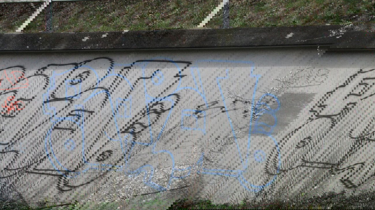 Graffiti Bombing in Oldenburg - Photo by Kaeseraspel - RAID (2013)