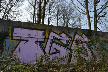 Graffiti Bombing in Oldenburg - Photo by Kaeseraspel - TGS (2014)