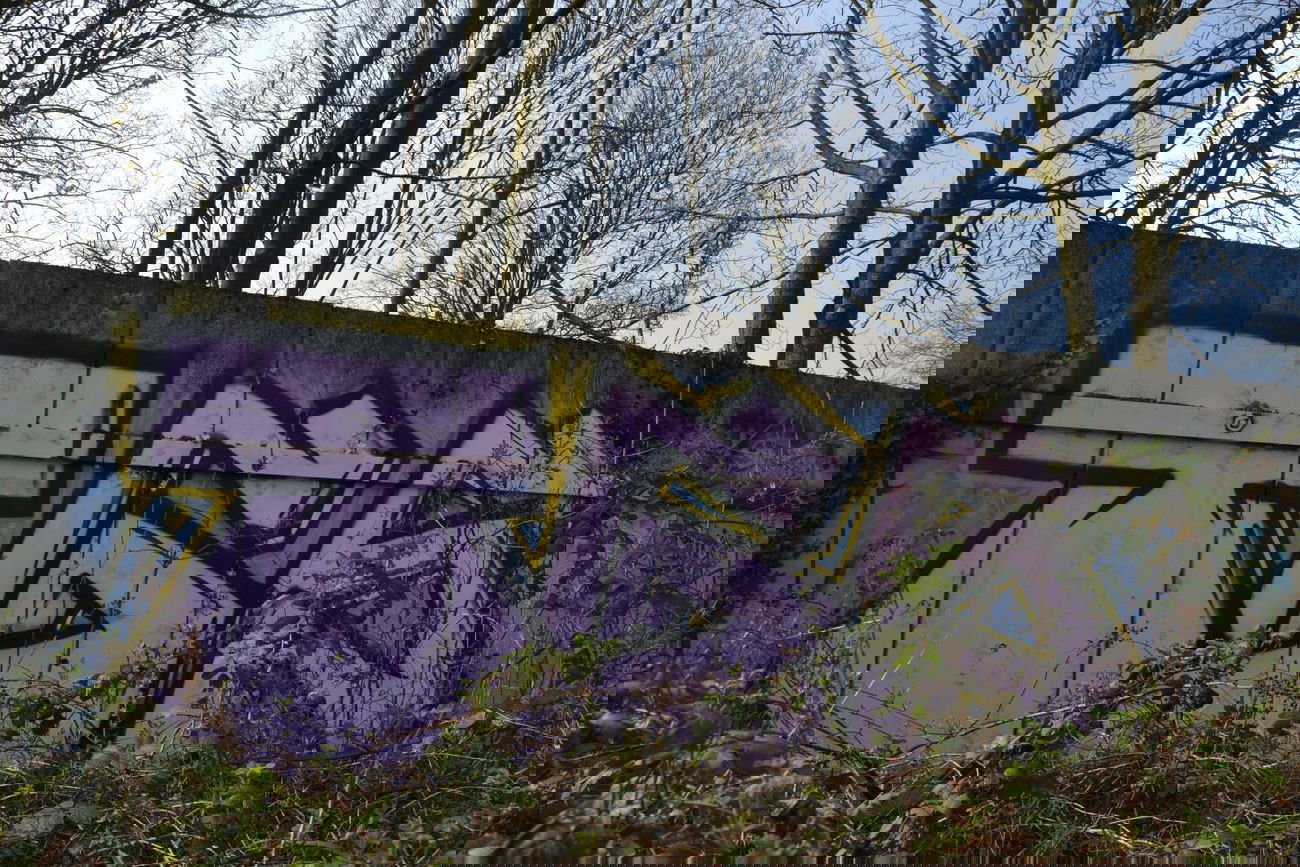 Graffiti Bombing in Oldenburg - Photo by Kaeseraspel - TGS (2014)