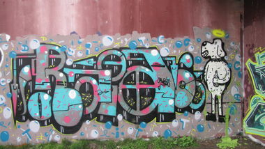 Graffiti Wall in Oldenburg - Photo by Kaeseraspel - Raid (2014)