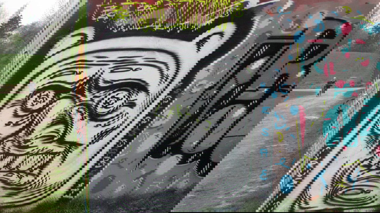 Graffiti Wall in Oldenburg - Photo by Kaeseraspel - Cruel (2014)