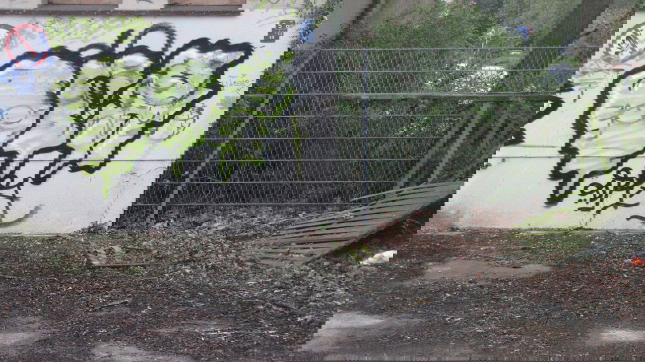 Graffiti Bombing in Oldenburg - Photo by Kaeseraspel - DRA