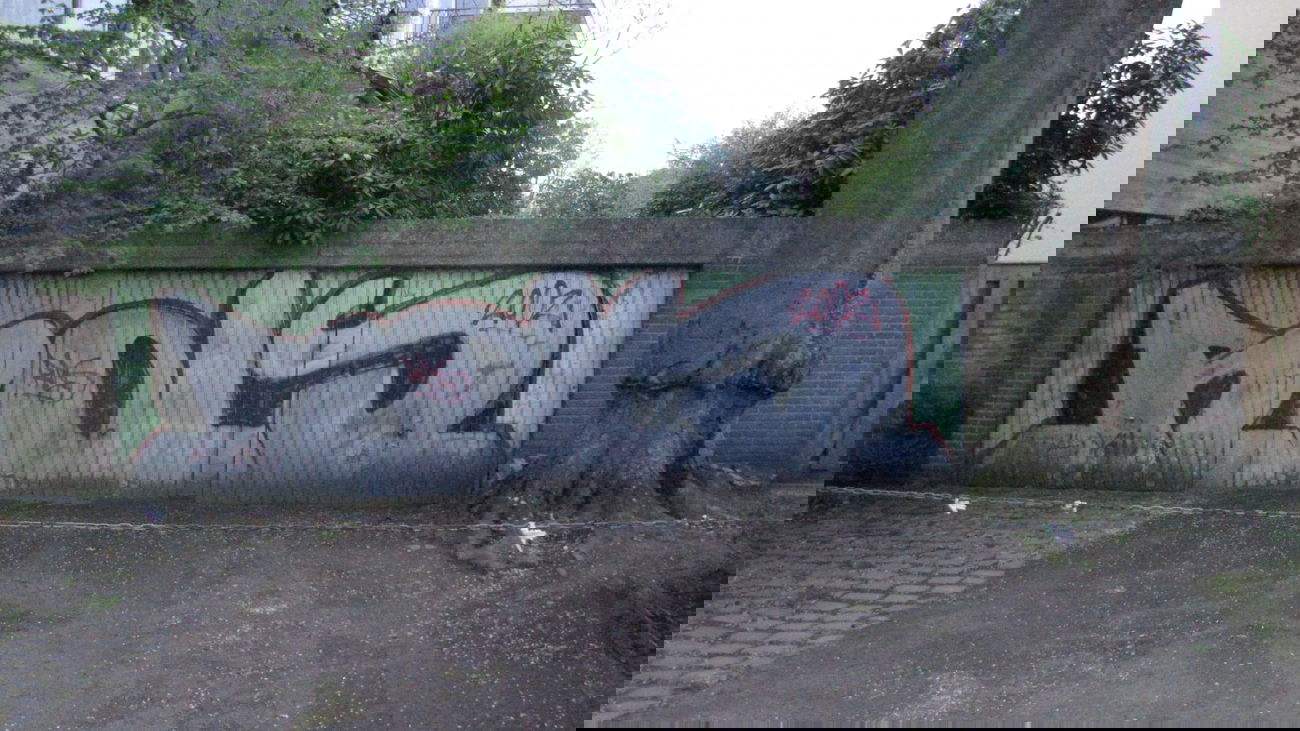 Graffiti Bombing in Oldenburg - Photo by Kaeseraspel - RAS (2002)