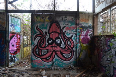 Graffiti Wall in Oldenburg - Photo by Kaeseraspel - Squids (2014)