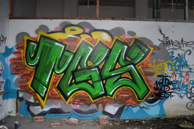 Graffiti Wall in Oldenburg - Photo by Kaeseraspel - TGS (2014)