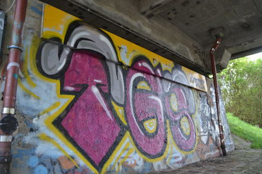 Graffiti Bombing in Oldenburg - Photo by Kaeseraspel - TGS (2014)