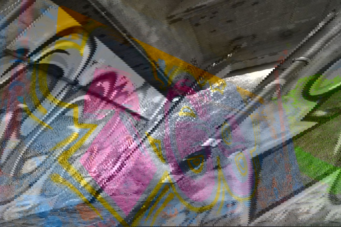 Graffiti Bombing in Oldenburg - Photo by Kaeseraspel - TGS (2014)