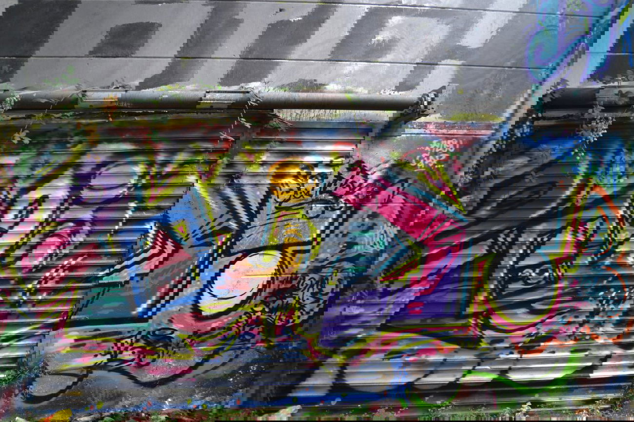 Graffiti Wall in Oldenburg - Photo by Kaeseraspel - Squids (2014)