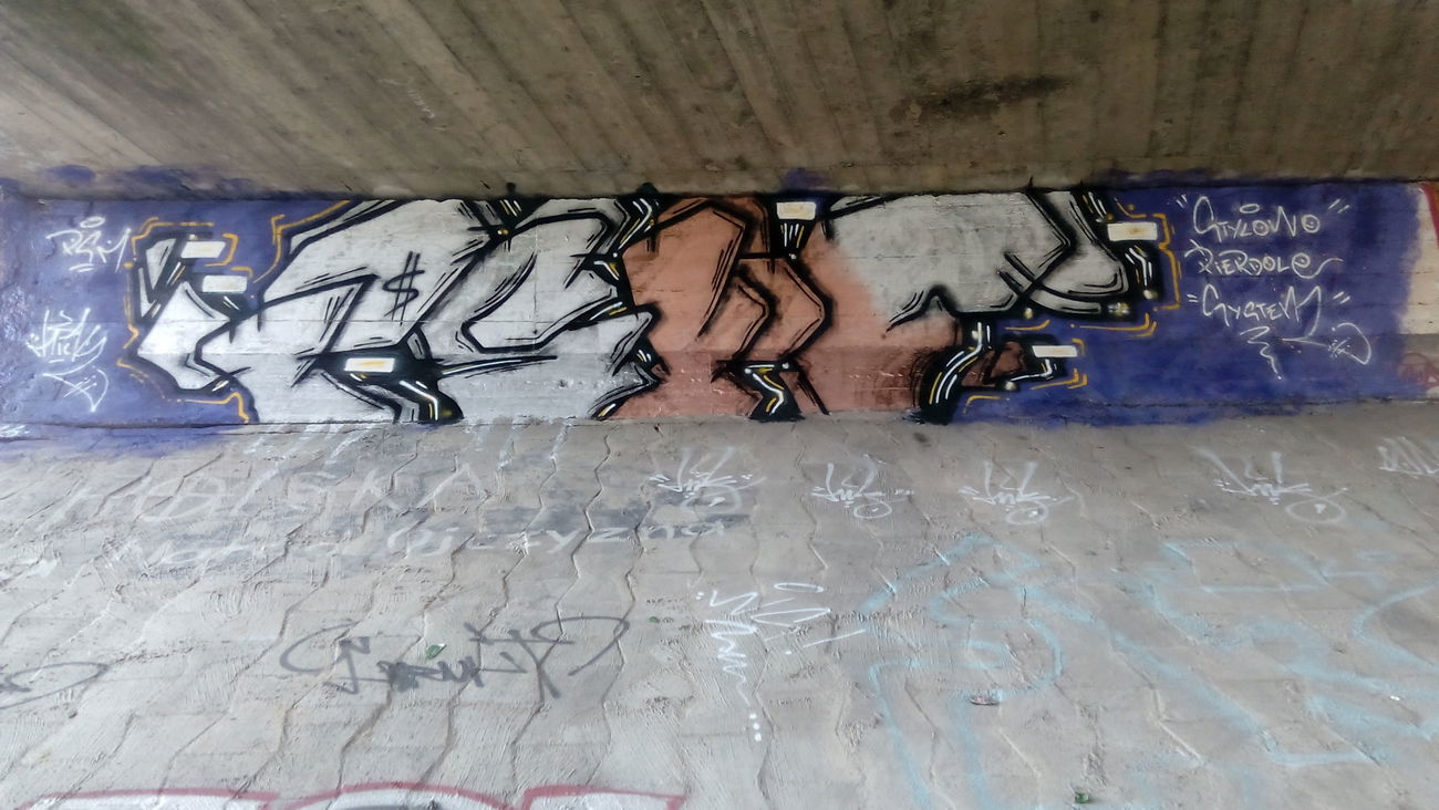 Graffiti Bombing - Photo by Kaesu