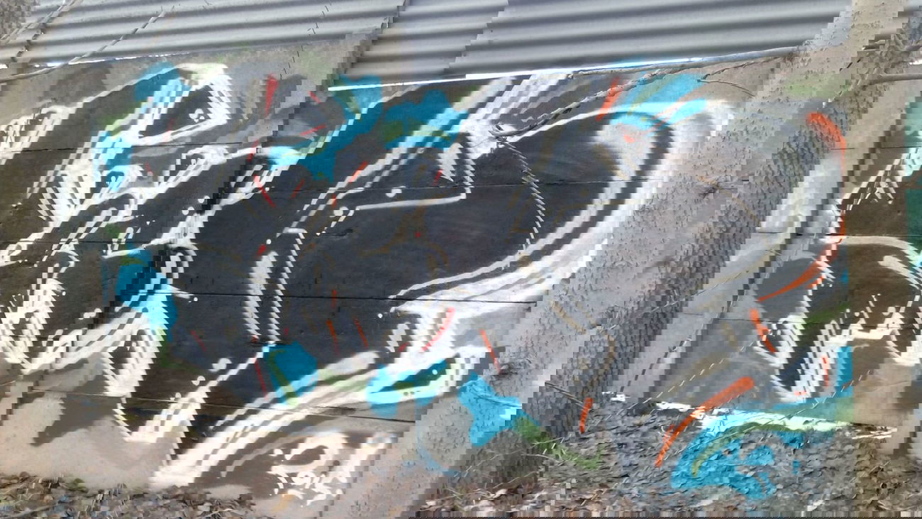 Graffiti Bombing - Photo by Kaesu - Tick