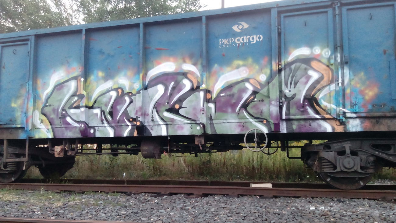 Graffiti Train - Photo by Kaesu - kurwa, tick, psm
