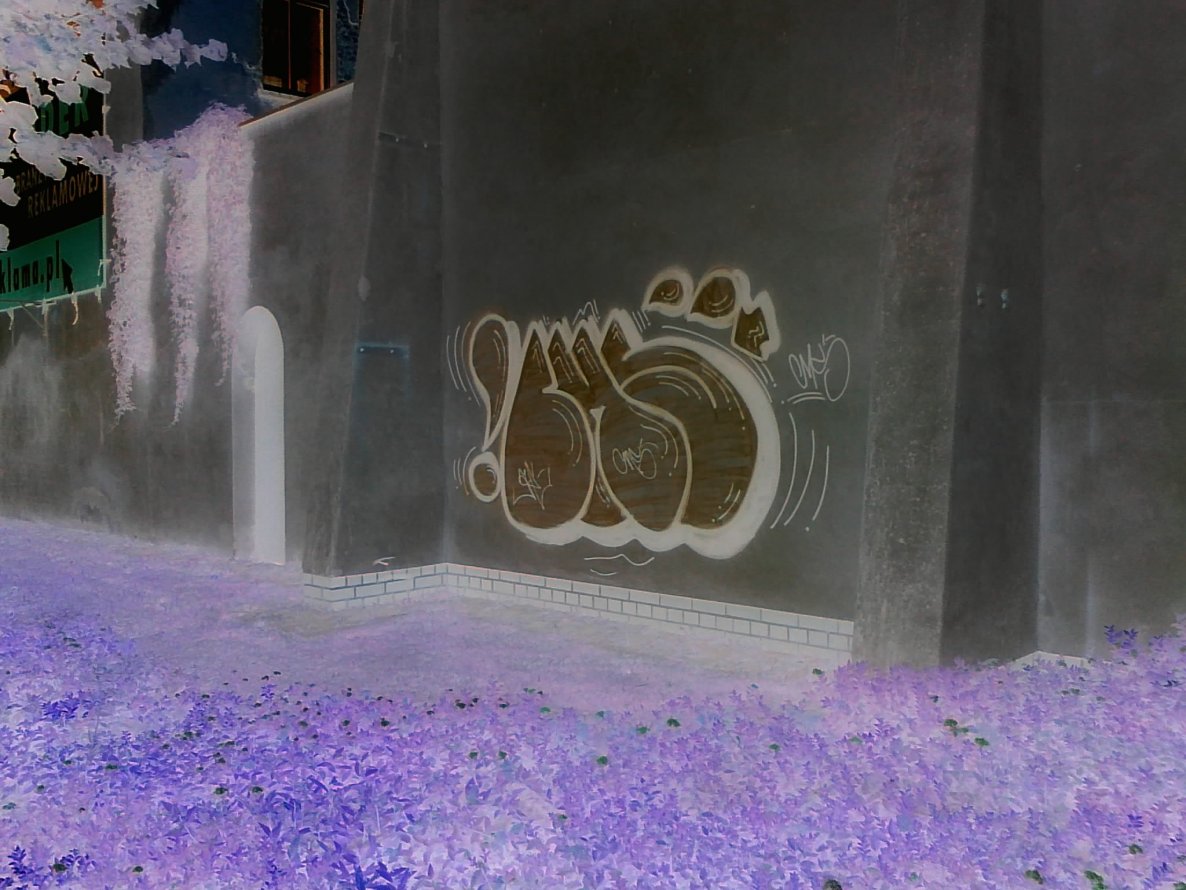 Graffiti Bombing - Photo by KamieCms - cms