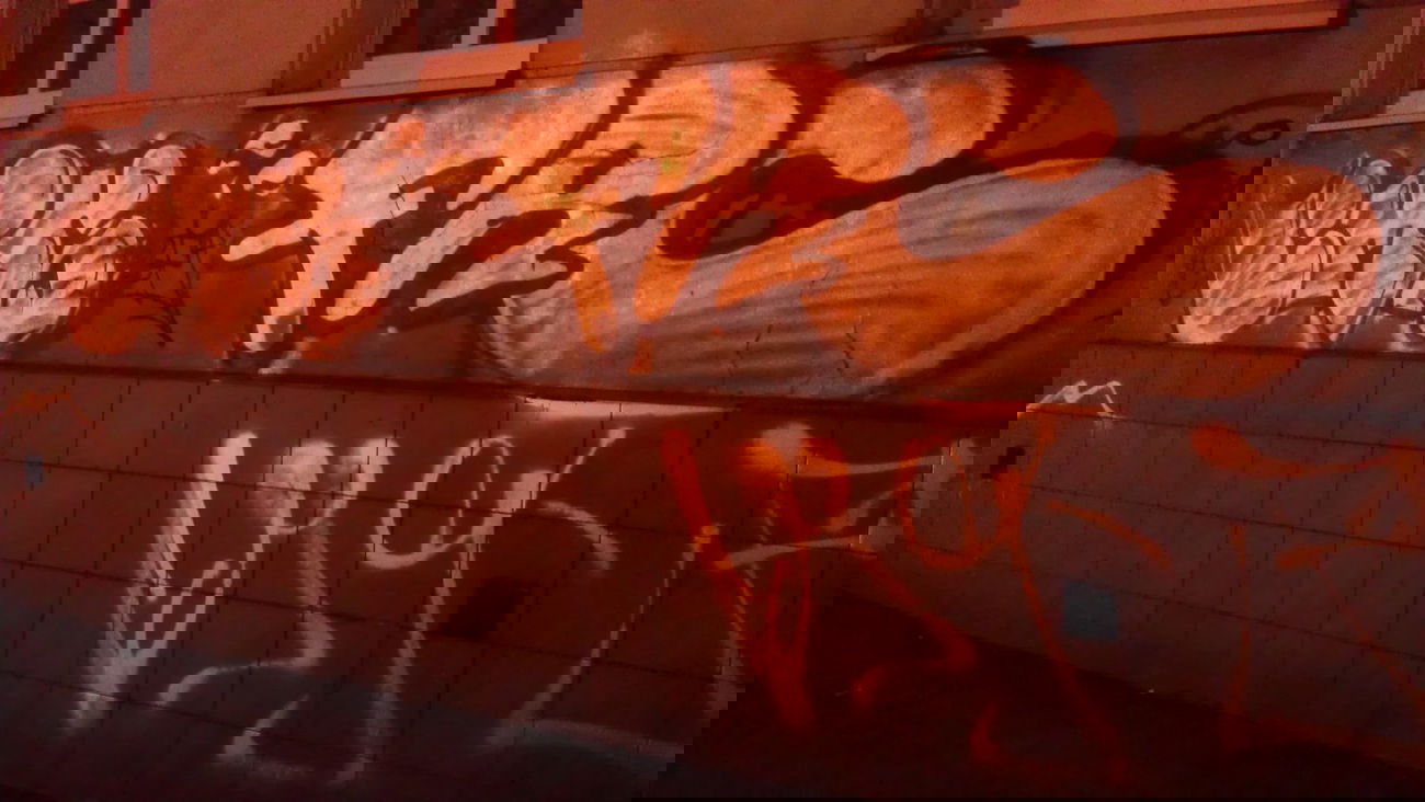 Graffiti Bombing - Photo by KamieCms - frc, cms