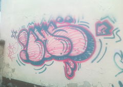 Photo #62238 by TagHagel