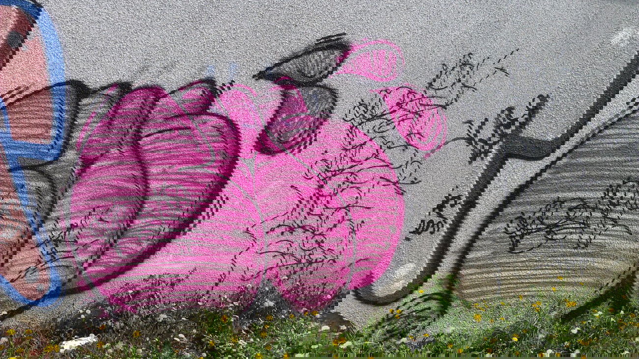 Graffiti Wall - Photo by KamieCms