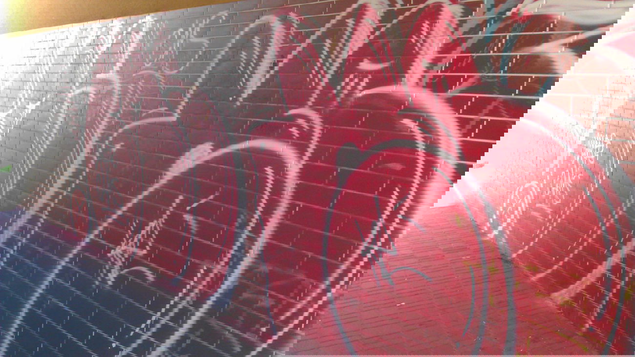 Graffiti Wall - Photo by KamieCms - ke, cms