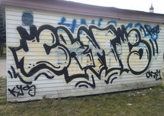 Photo #142663 by TagHagel