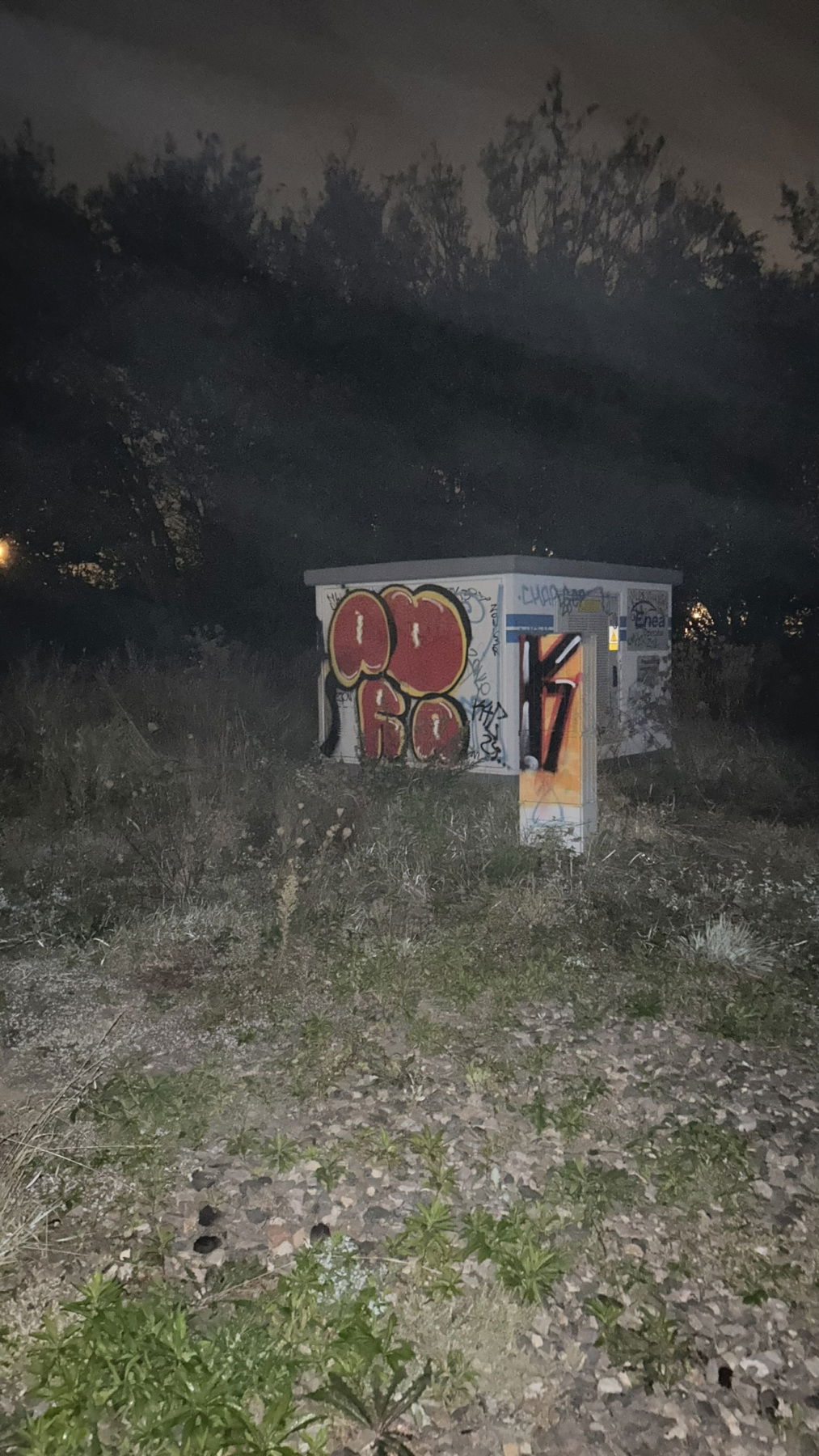 Graffiti Bombing in Szczecin - Photo by Kapek990 (2024)