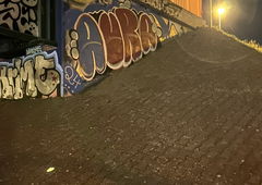 Photo #242388 by SNEU