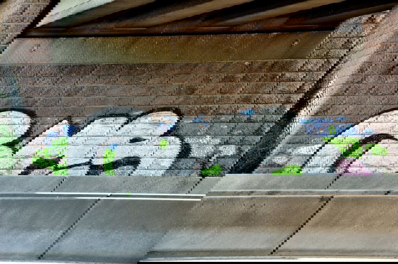 Graffiti Bombing - Photo by Karlo_Kolambo - Gms, hamburg (2011)