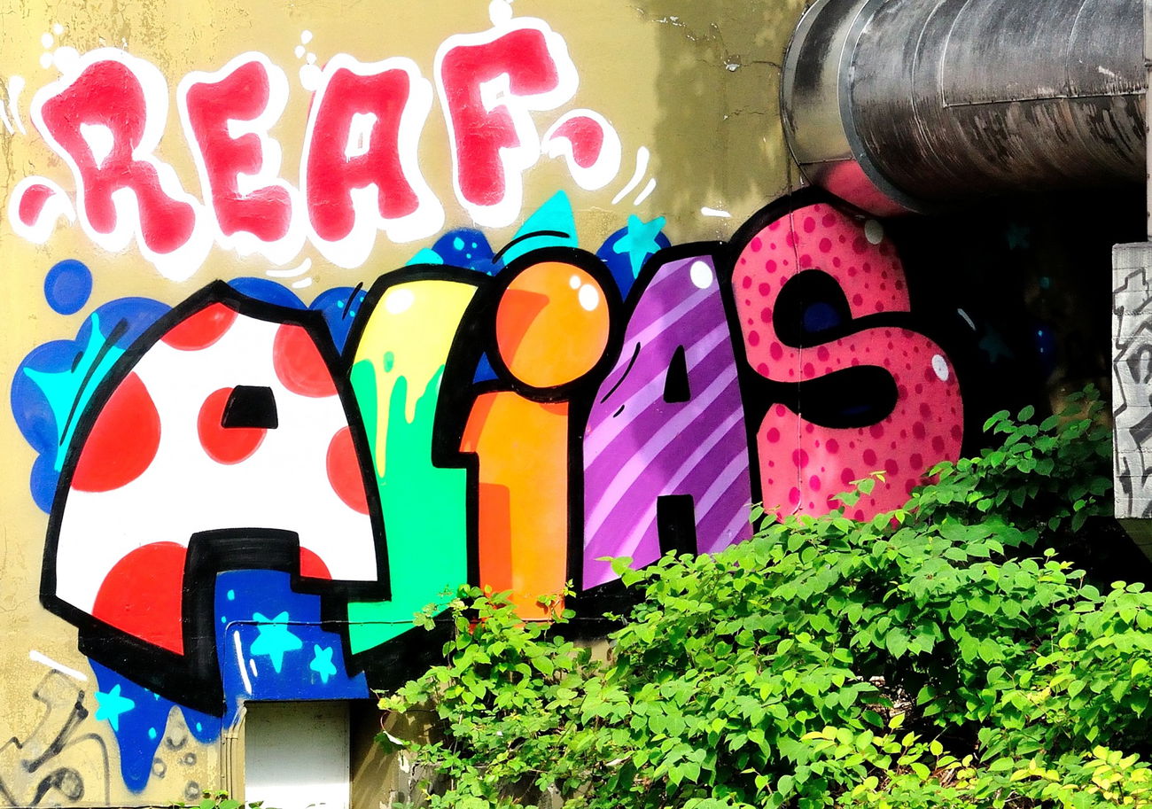 Graffiti Bombing - Photo by Karlo_Kolambo - alias, moses, taps (2015)