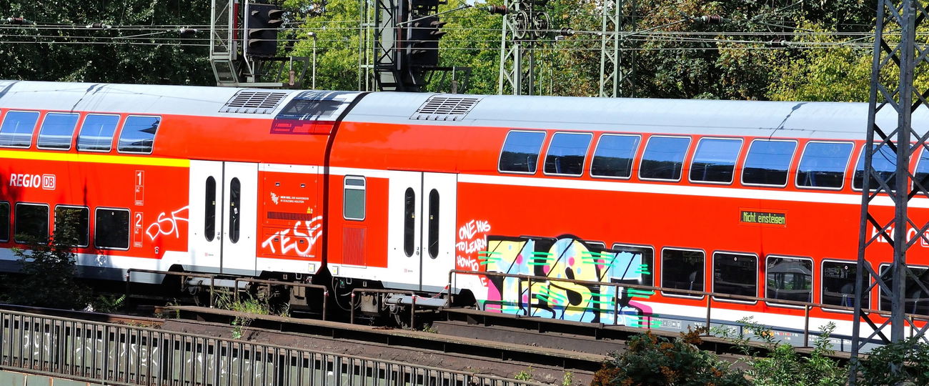 Graffiti Train - Photo by Karlo_Kolambo - tese, dsf, milfhunter (2015)