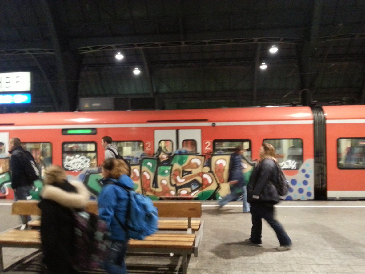 Graffiti Train - Photo by KarlsruhCheckt - karlsruhe, husk, samo (2014)