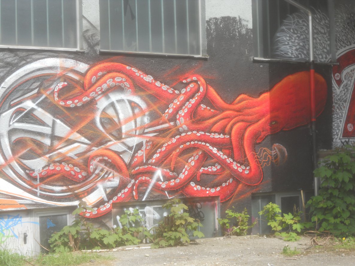 Graffiti Wall in München - Photo by Karlstoast - more, bgs, dachau (2013)