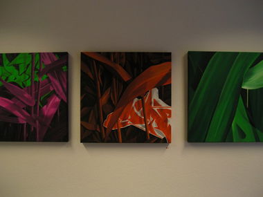 Graffiti Artwork in Basel - Photo by Karlstoast - dare, canvas