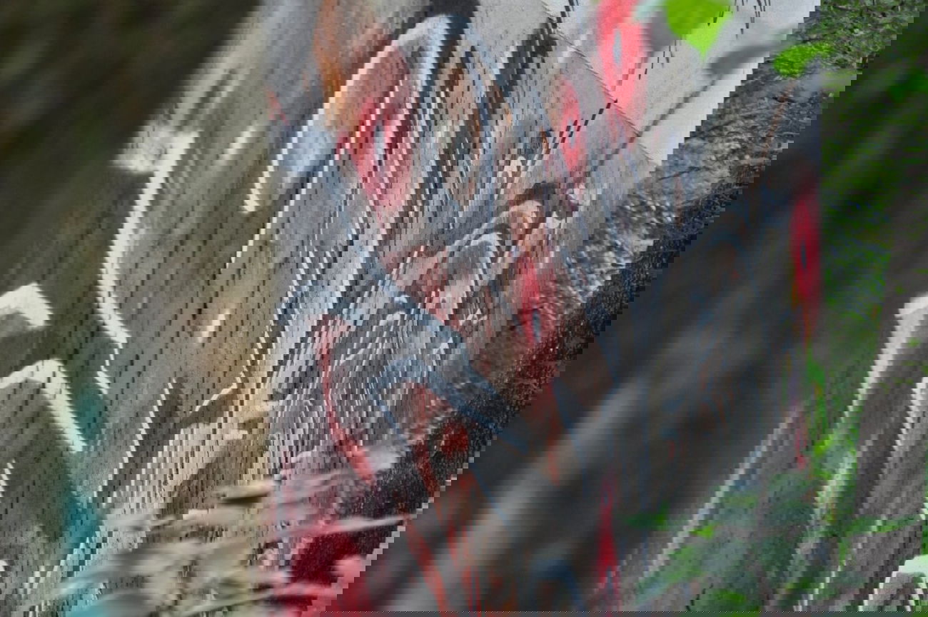 Graffiti Wall in München - Photo by Karlstoast - exer, ekser, munich (2014)