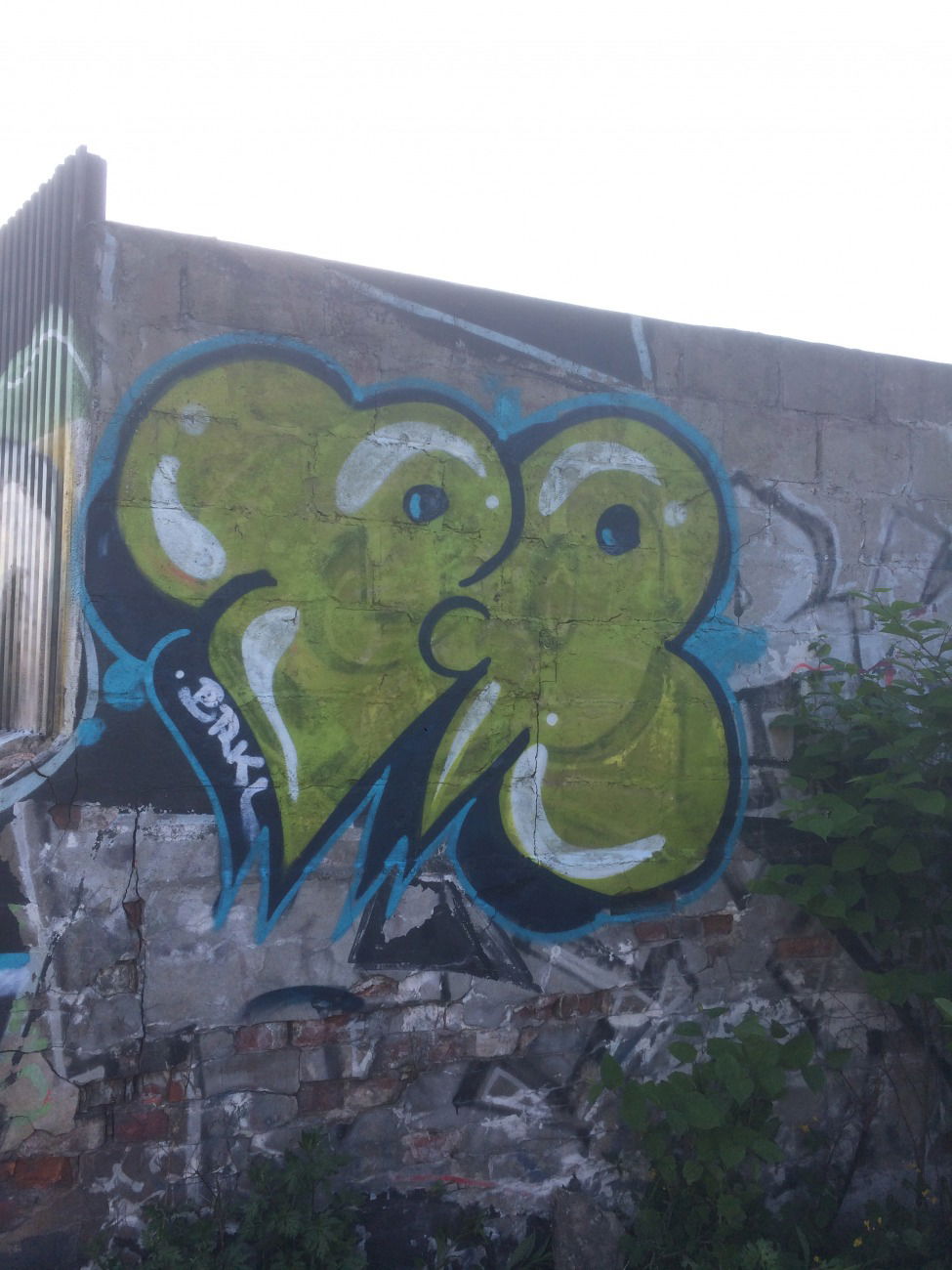 Graffiti Wall - Photo by Kasne027 - brkl, kasne, kcvd