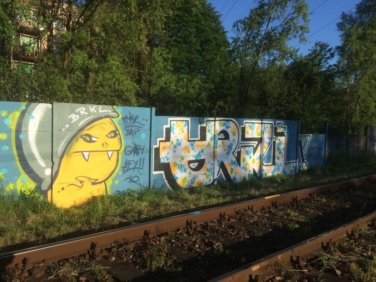 Graffiti Wall - Photo by Kasne027 - brkl