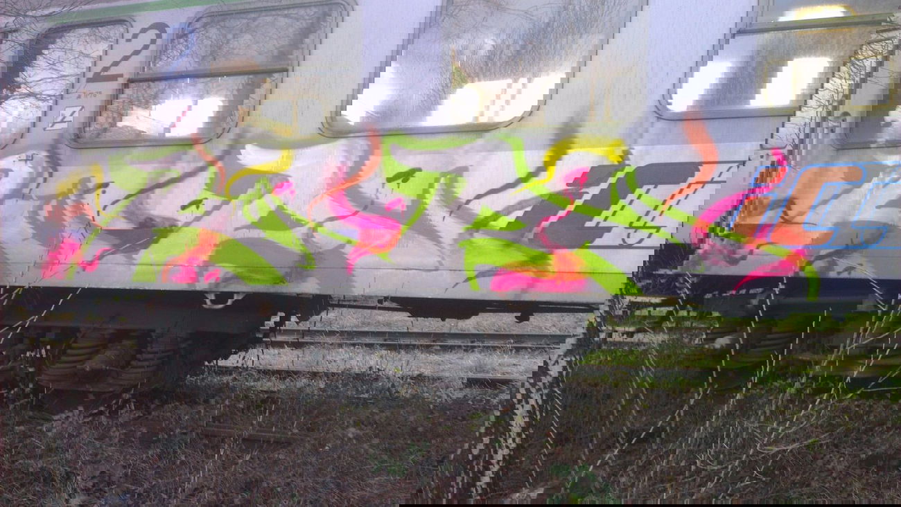 Graffiti Train - Photo by KasztiKasztan