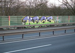 Photo #156522 by whonift