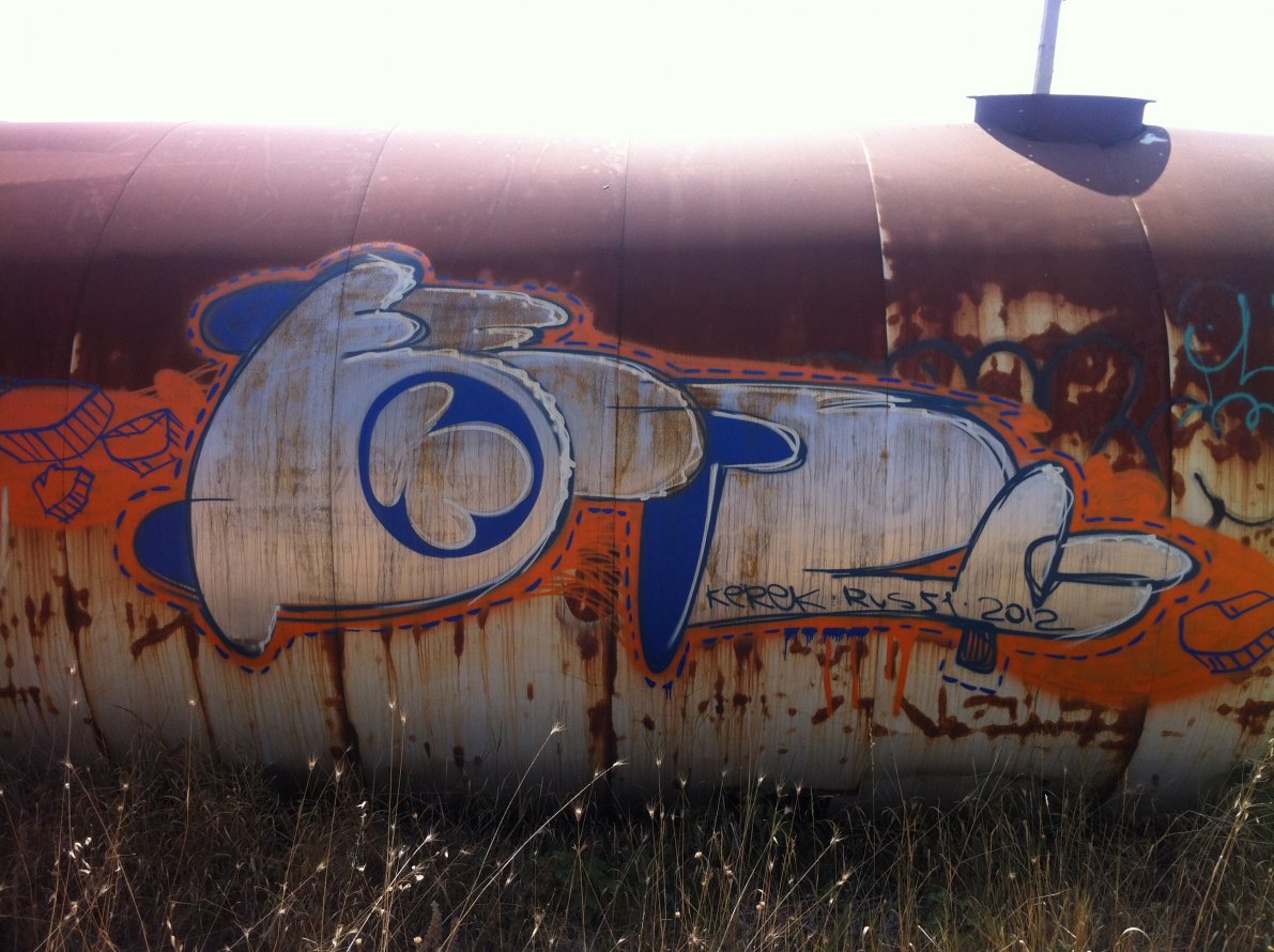 Graffiti Bombing - Photo by Kerek