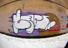 Photo #71439 by Belt