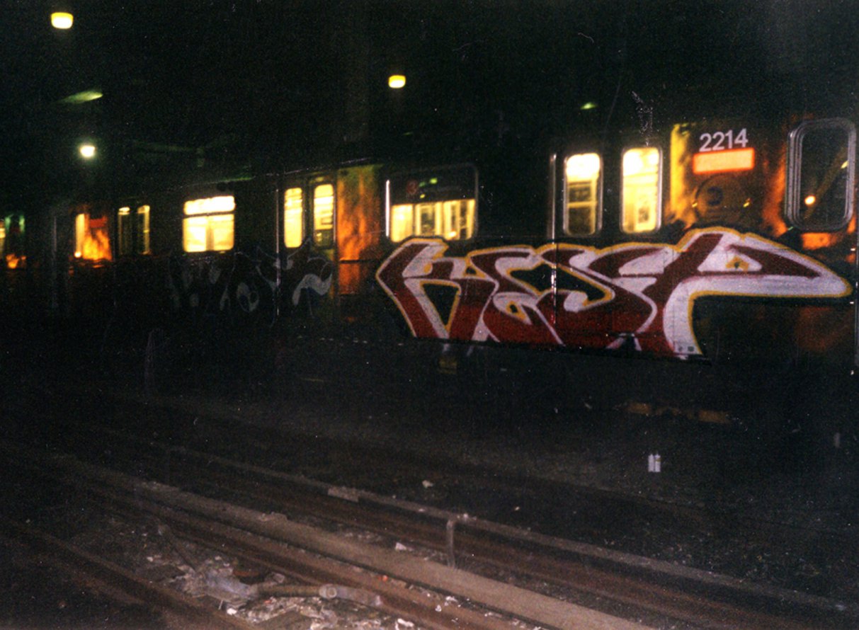 Graffiti Train - Photo by Kest - kest, new, york (2002)
