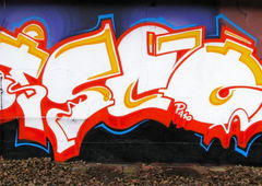 Photo #83949 by bocat