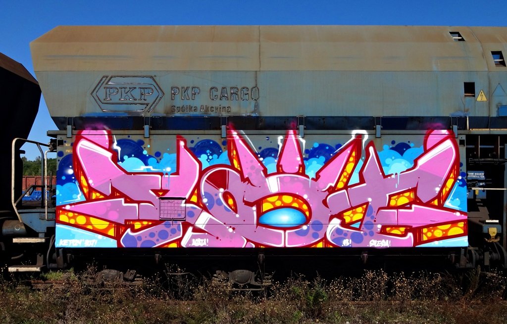 Graffiti Train in Katowice - Photo by Ket124 - Ket124, Sw307Crew, Bombing (2013)