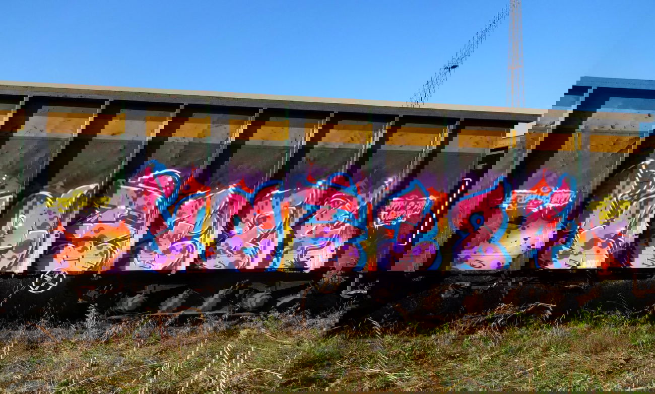 Graffiti Train - Photo by Ket124 (2013)