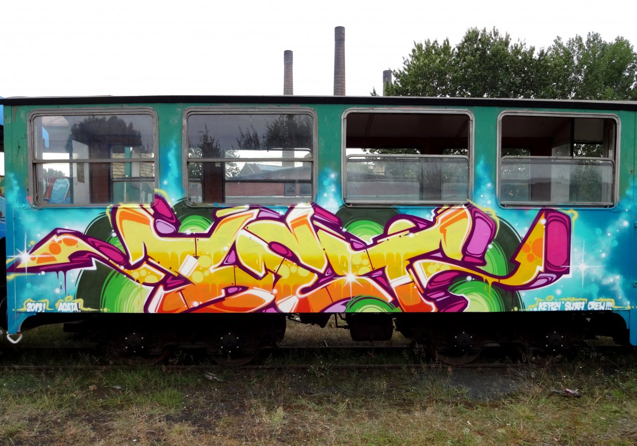 Graffiti Train - Photo by Ket124 (2013)