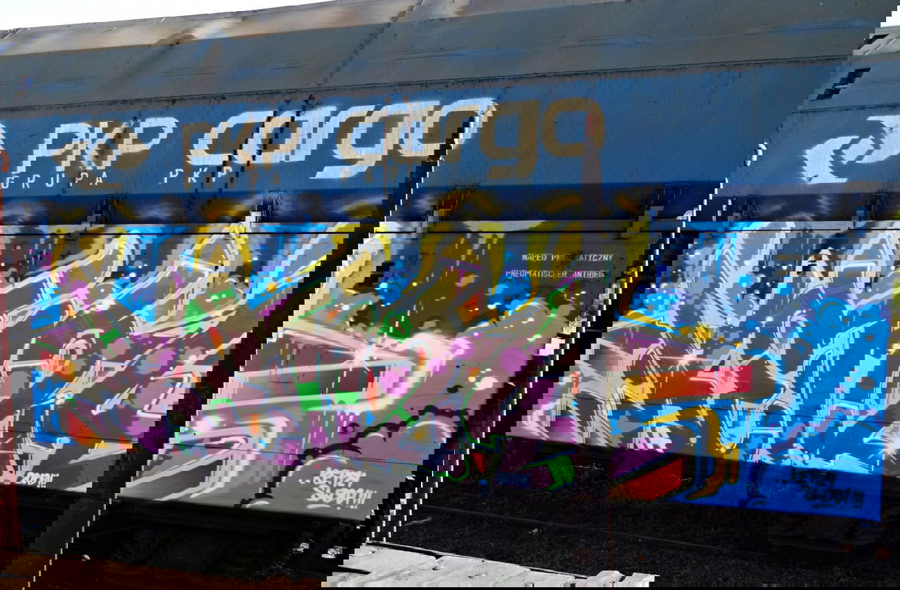 Graffiti Train - Photo by Ket124 (2013)