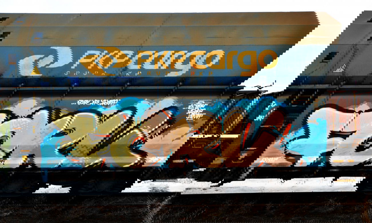 Graffiti Train - Photo by Ket124 (2013)