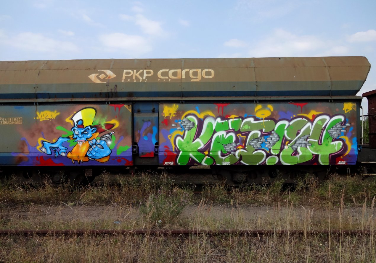 Graffiti Train - Photo by Ket124 (2013)