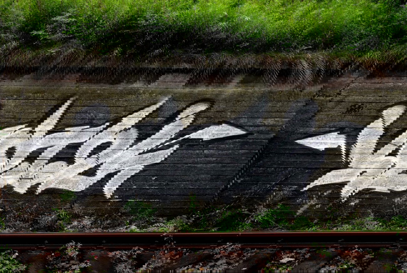 Graffiti Bombing - Photo by Ket124 (2013)