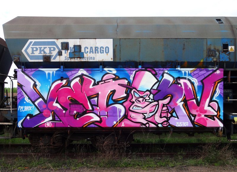 Graffiti Train - Photo by Ket124