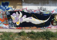 Photo #64177 by sower